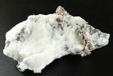 Native Silver in Calcite - Morocco #266122-1